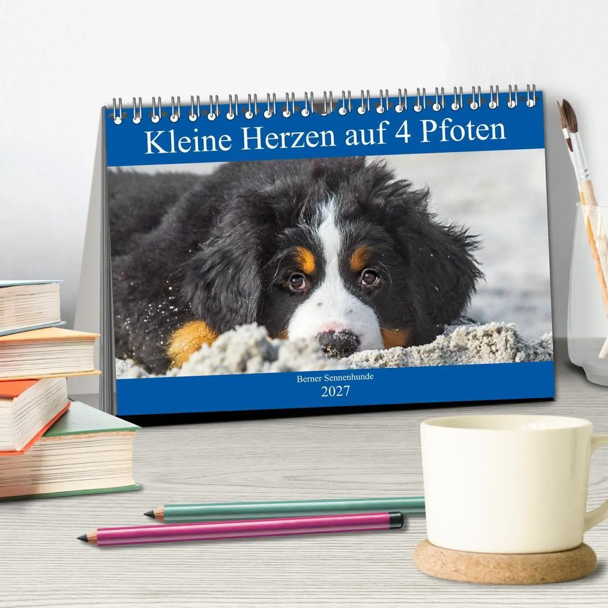 Bild: 9783569646643 | Kleine Herzen auf 4 Pfoten - Berner Sennenhunde (Tischkalender 2027...