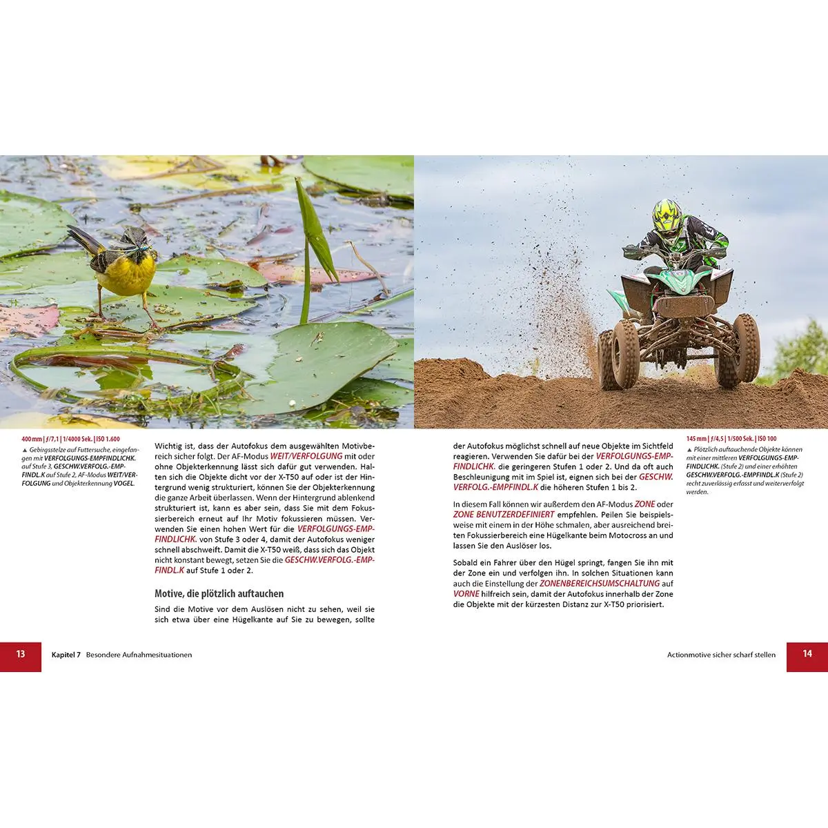 Bild: 9783832806743 | Fujifilm X-T50 | Das umfangreiche Praxisbuch zu Ihrer Kamera | Buch