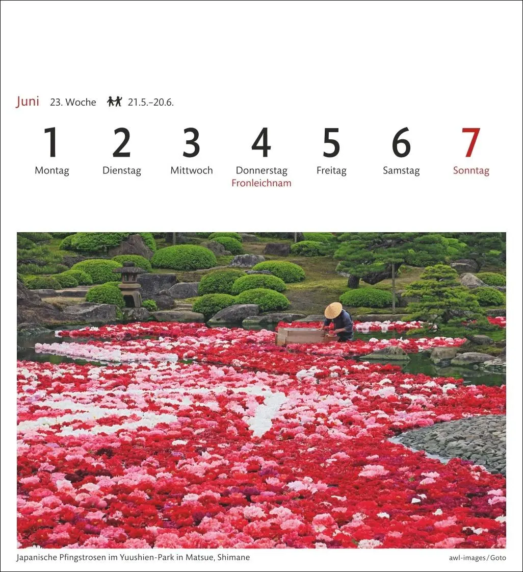Bild: 9783840036743 | Japan Sehnsuchtskalender 2026 - Wochenkalender mit 53 Postkarten