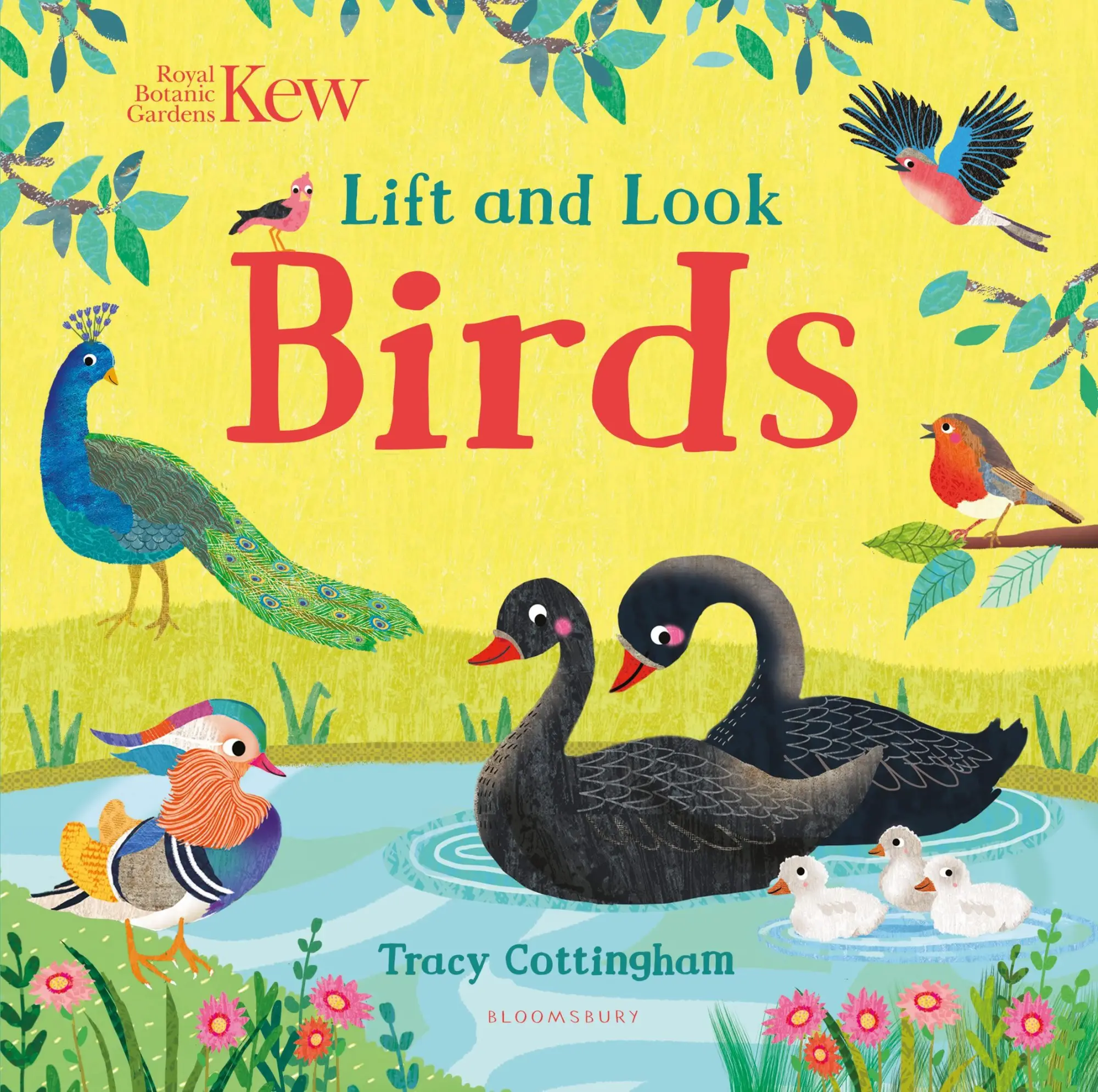 Cover: 9781526636843 | Kew: Lift and Look Birds | Tracy Cottingham | Buch | Papp-Bilderbuch