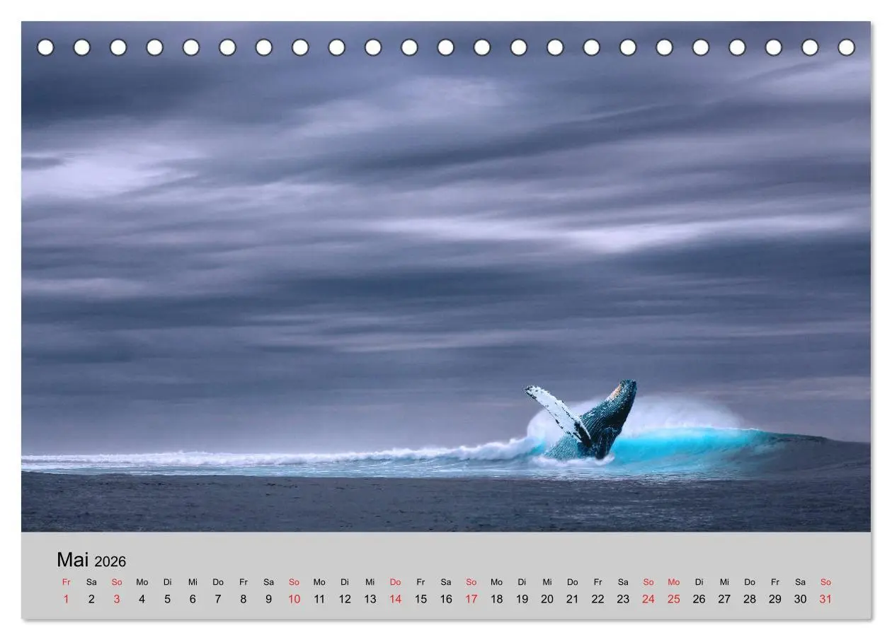 Bild: 9783457826843 | Am Meer. Sehnsucht Wasser (Tischkalender 2026 DIN A5 quer),...