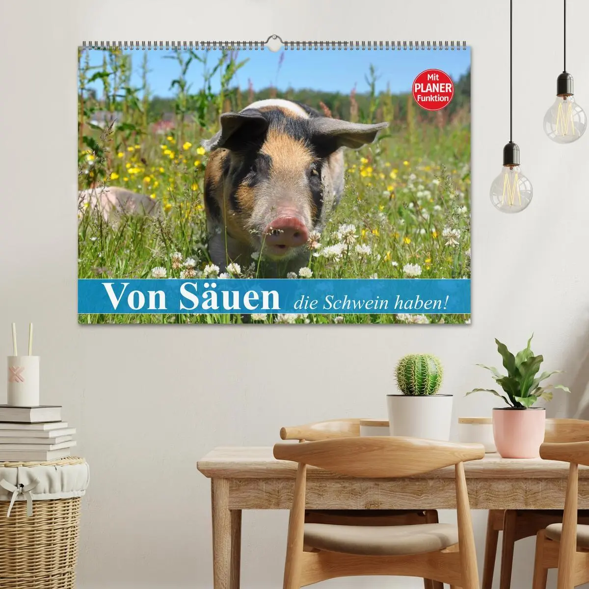 Bild: 9783457996843 | Von Säuen die Schwein haben! (Wandkalender 2026 DIN A2 quer),...