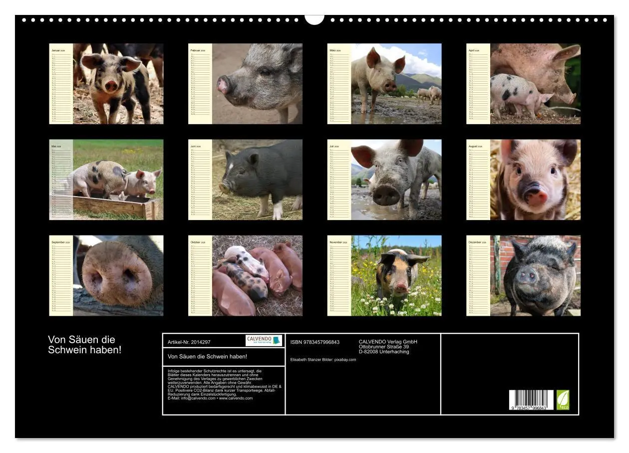 Bild: 9783457996843 | Von Säuen die Schwein haben! (Wandkalender 2026 DIN A2 quer),...