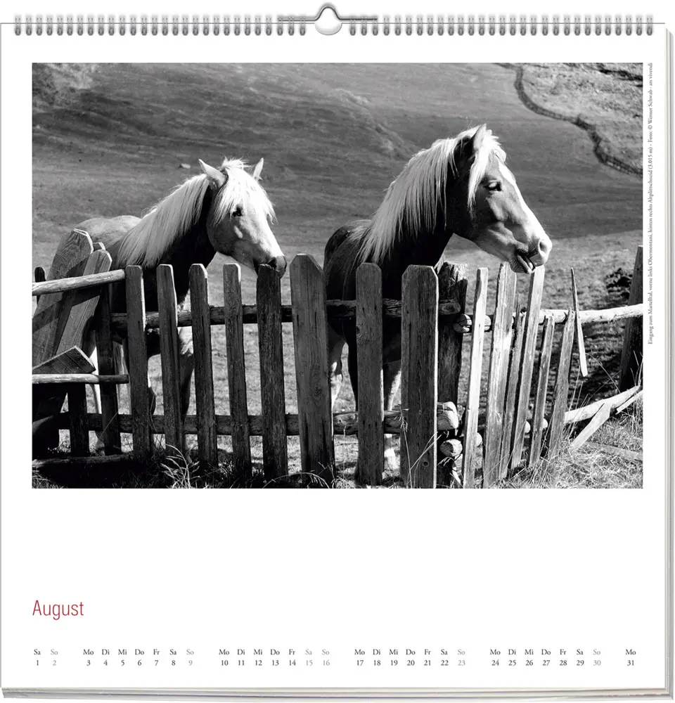 Bild: 9783747206843 | Südtirol 2026 | Wandkalender | Werner Schwab | Kalender | 12 S. | 2026