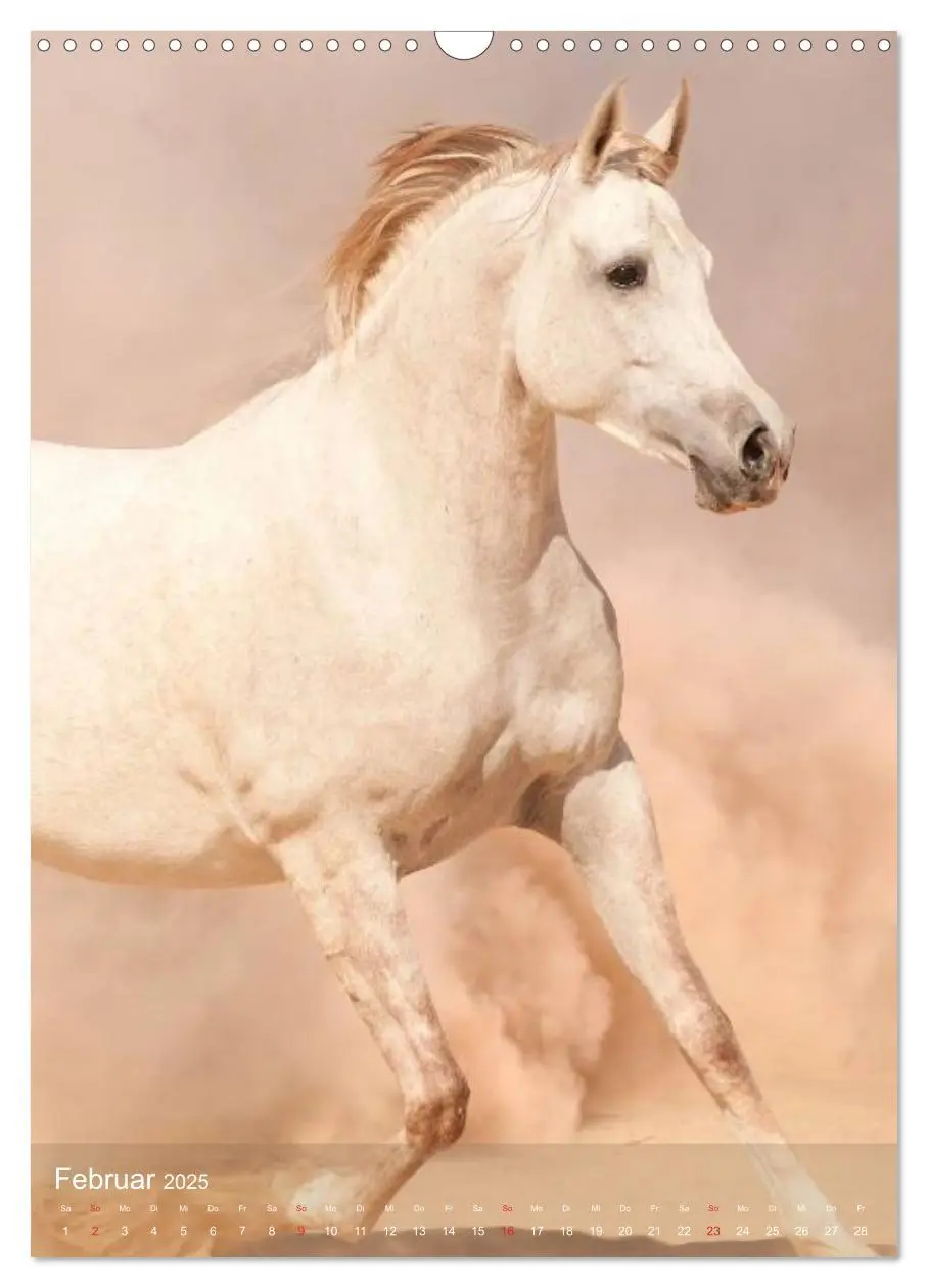 Bild: 9783457056943 | Arabische Pferde ¿ Geschöpfe des Windes (Wandkalender 2025 DIN A3...