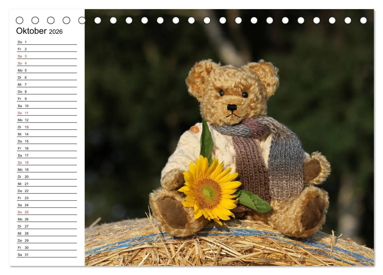Bild: 9783457986943 | Teddy unterwegs (Tischkalender 2026 DIN A5 quer), CALVENDO...