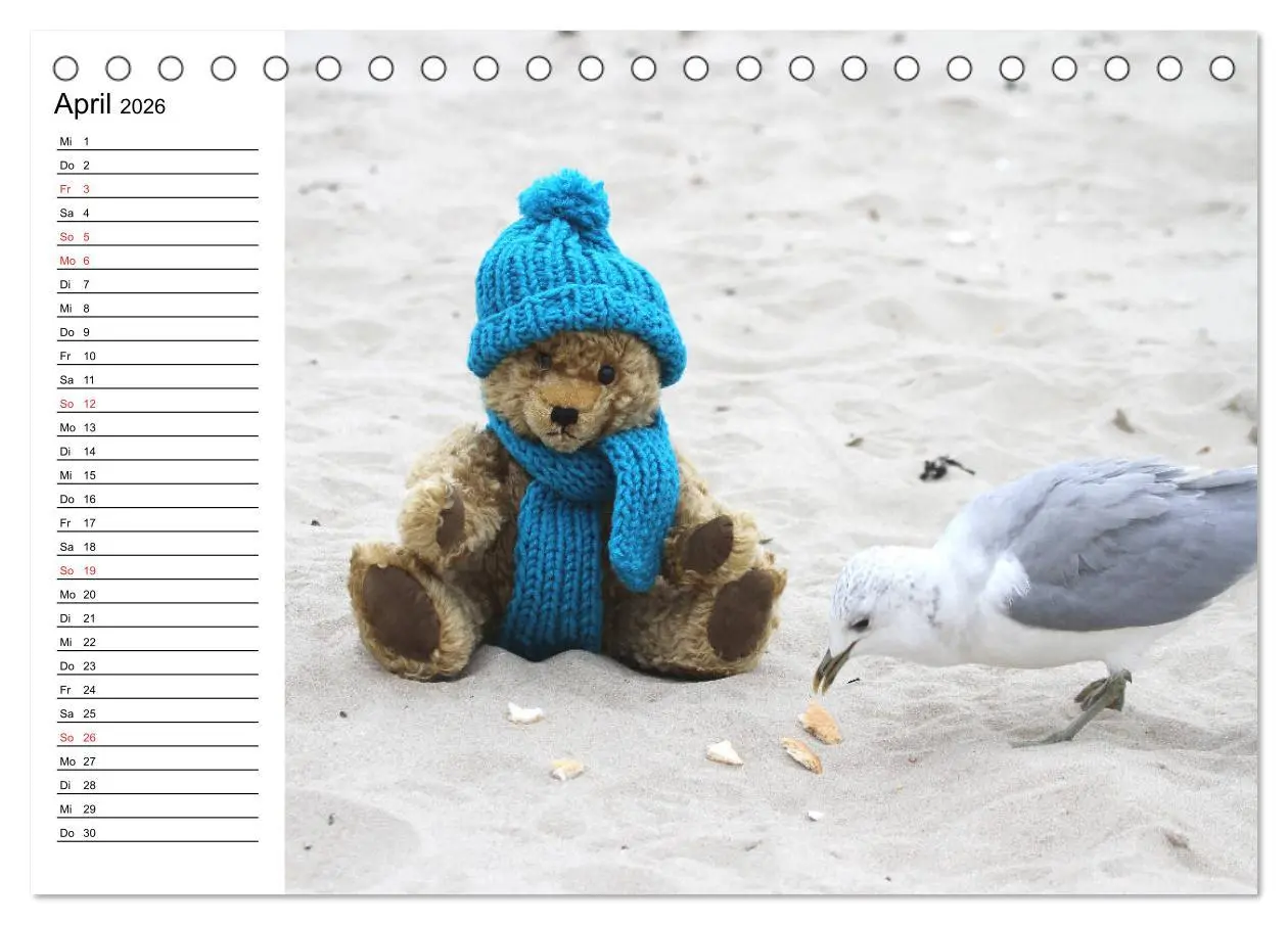 Bild: 9783457986943 | Teddy unterwegs (Tischkalender 2026 DIN A5 quer), CALVENDO...