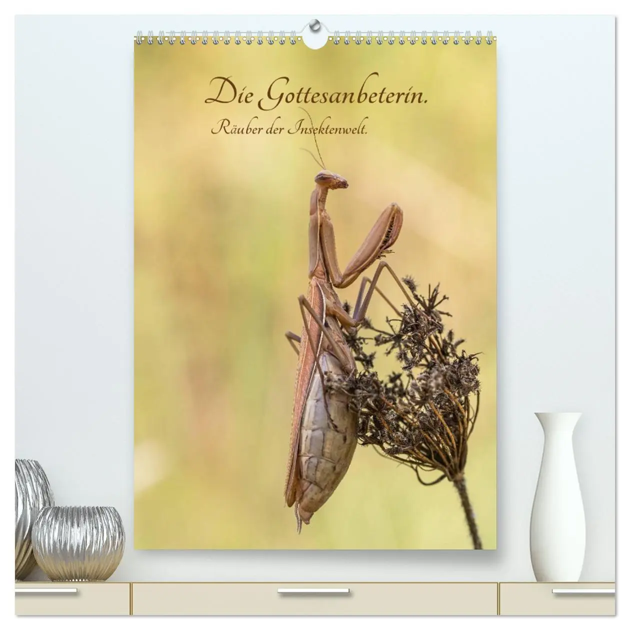Cover: 9783516407143 | Die Gottesanbeterin. Räuber der Insektenwelt. (hochwertiger Premium...