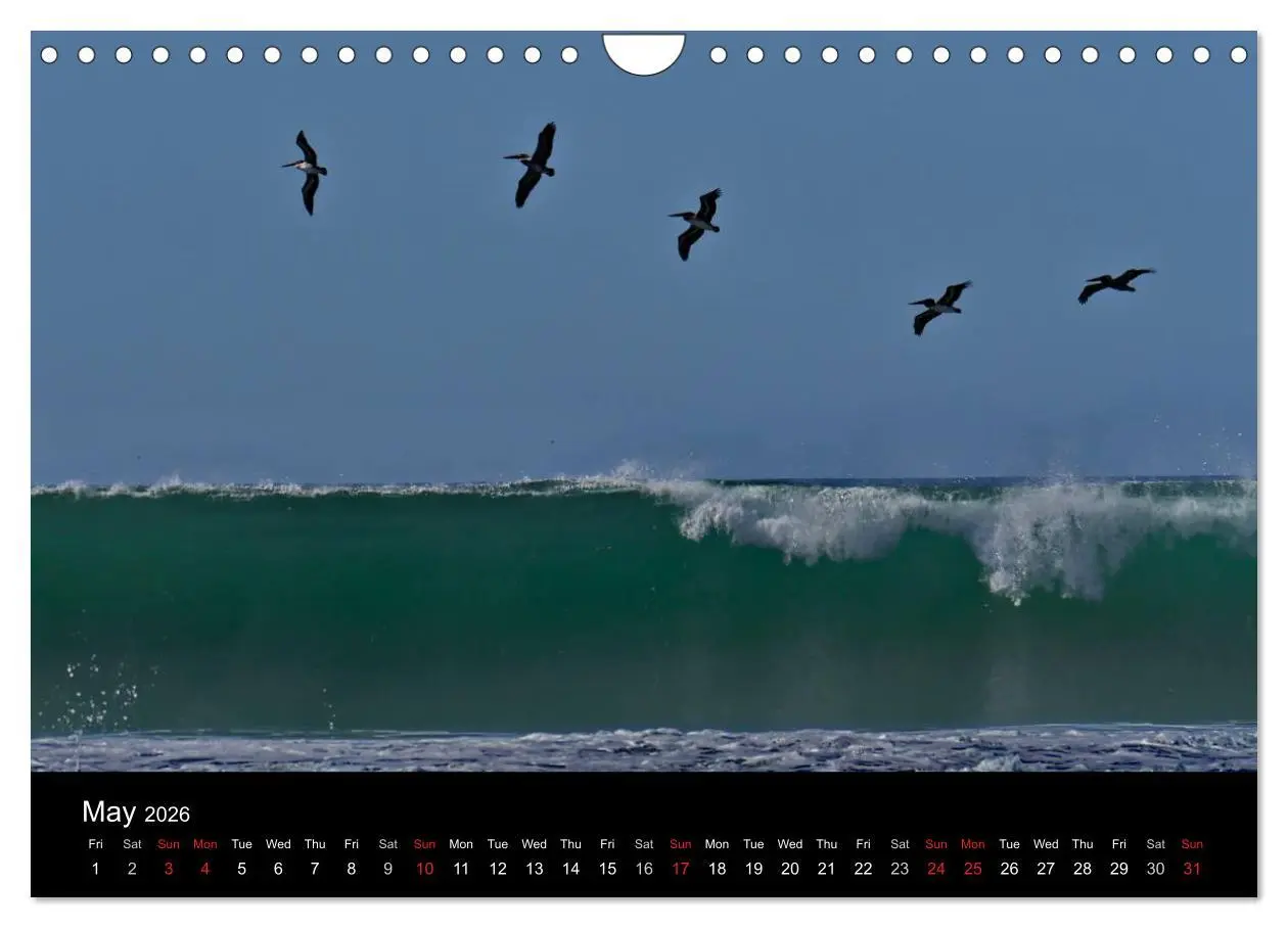 Bild: 9783516577143 | California Coasline (Wall Calendar 2026 DIN A4 landscape), CALVENDO...