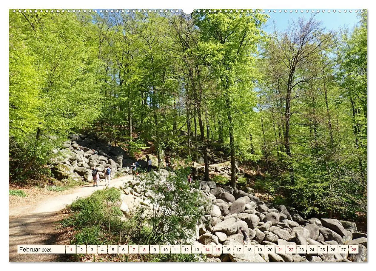 Bild: 9783457787243 | Viele Wege - ein Ziel Wandern im Odenwald (Wandkalender 2026 DIN A2...