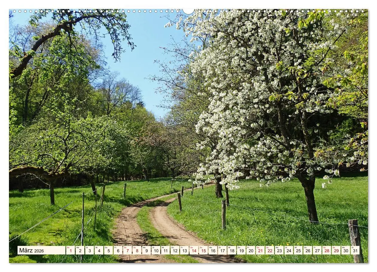 Bild: 9783457787243 | Viele Wege - ein Ziel Wandern im Odenwald (Wandkalender 2026 DIN A2...