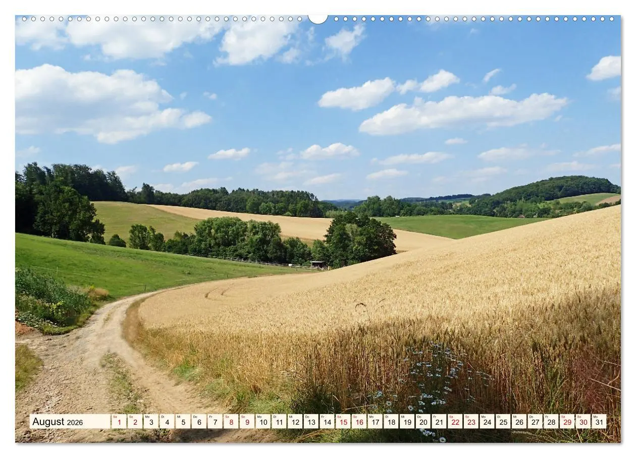Bild: 9783457787243 | Viele Wege - ein Ziel Wandern im Odenwald (Wandkalender 2026 DIN A2...