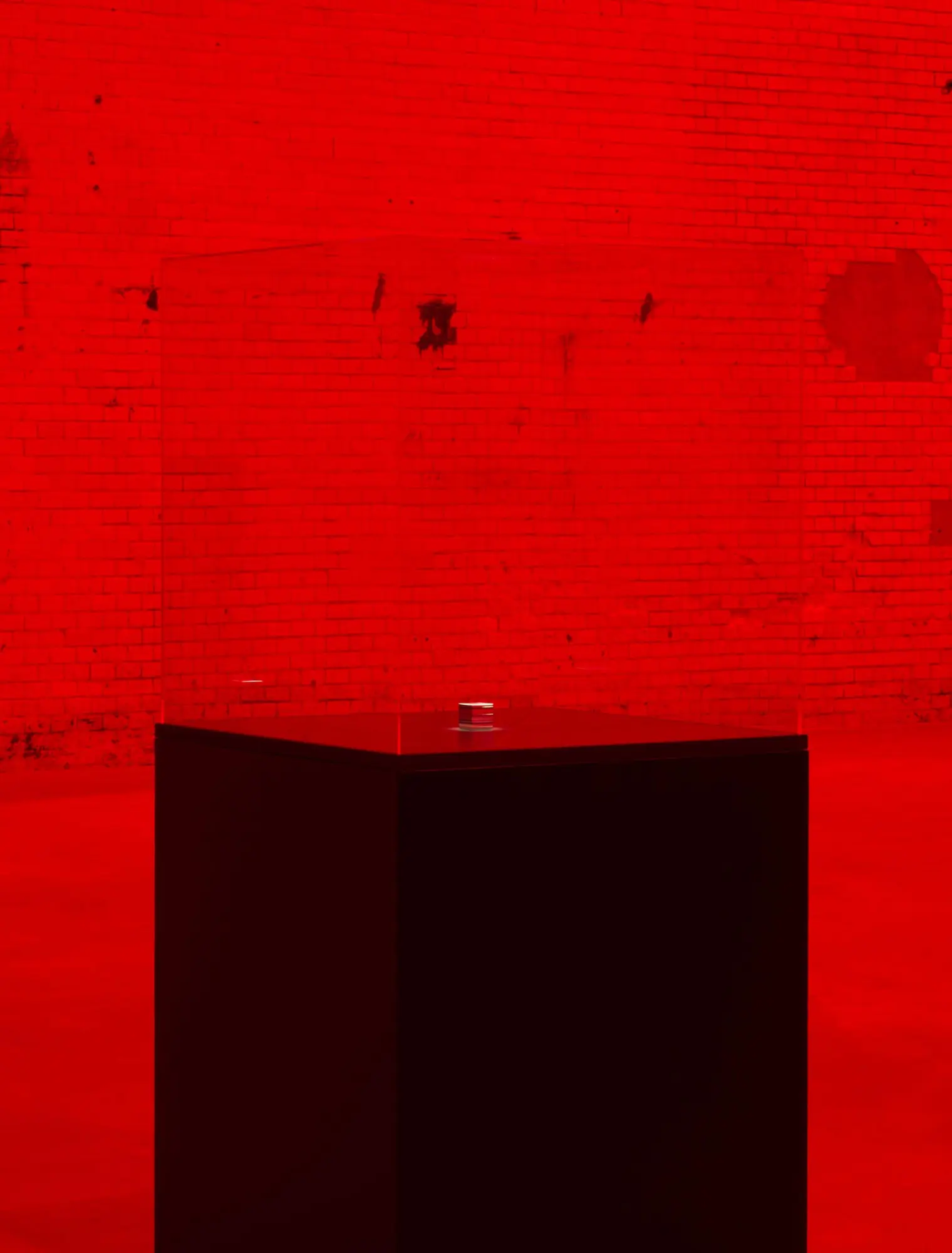 Cover: 9783954767243 | The End of the World | Alfredo Jaar | Alfredo Jaar | Buch | 256 S.