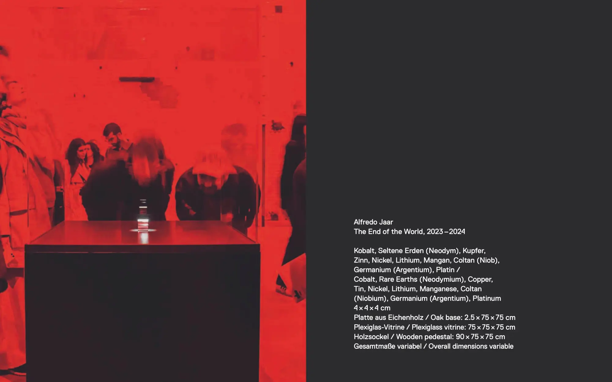 Bild: 9783954767243 | The End of the World | Alfredo Jaar | Alfredo Jaar | Buch | 256 S.