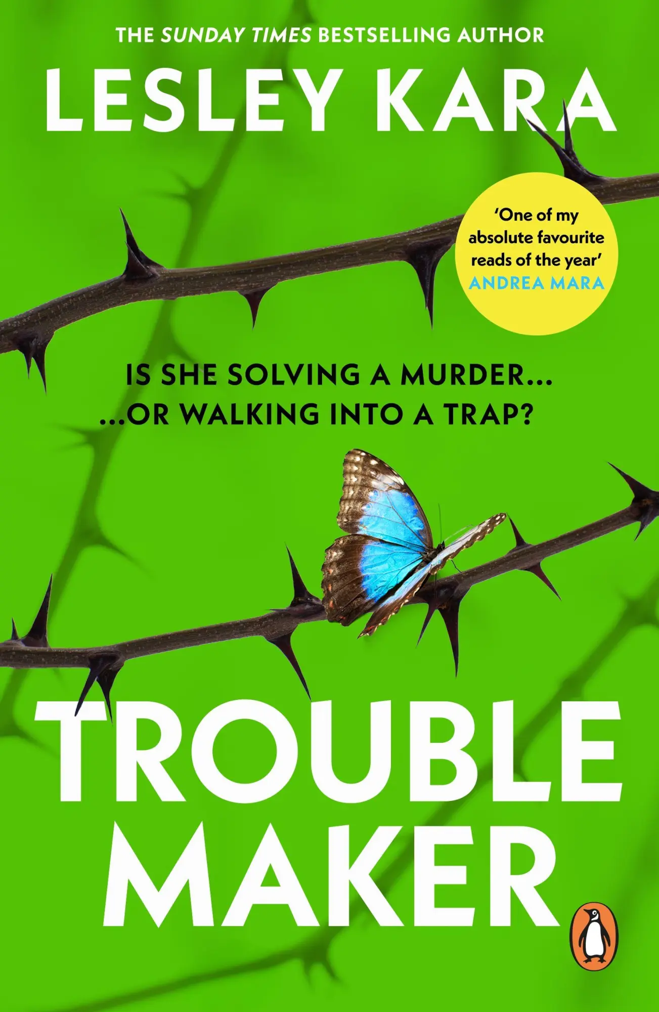 Cover: 9781529177343 | Troublemaker | Lesley Kara | Taschenbuch | 384 S. | Englisch | 2026