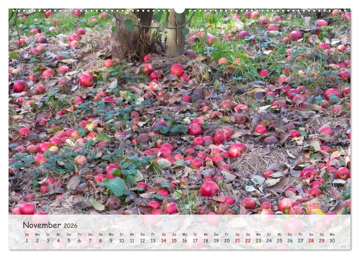 Bild: 9783457397343 | Vier Jahreszeiten - Eine Welt (Wandkalender 2026 DIN A2 quer),...