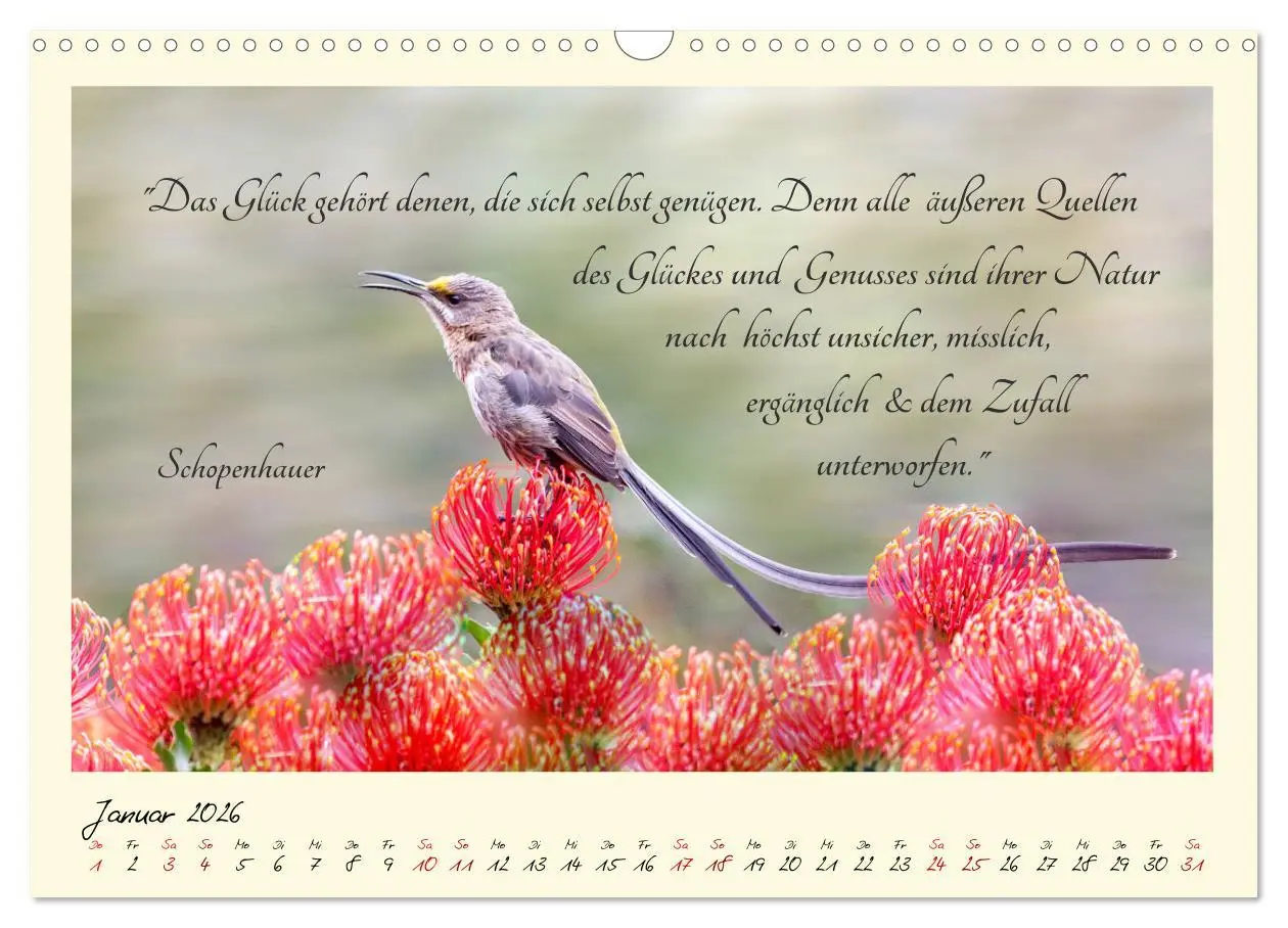 Bild: 9783457777343 | Glücksmomente Glücks-Zitate zu Fotos der großartigen...