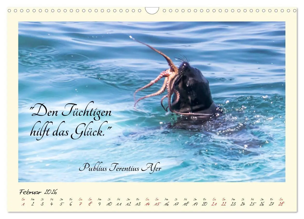 Bild: 9783457777343 | Glücksmomente Glücks-Zitate zu Fotos der großartigen...