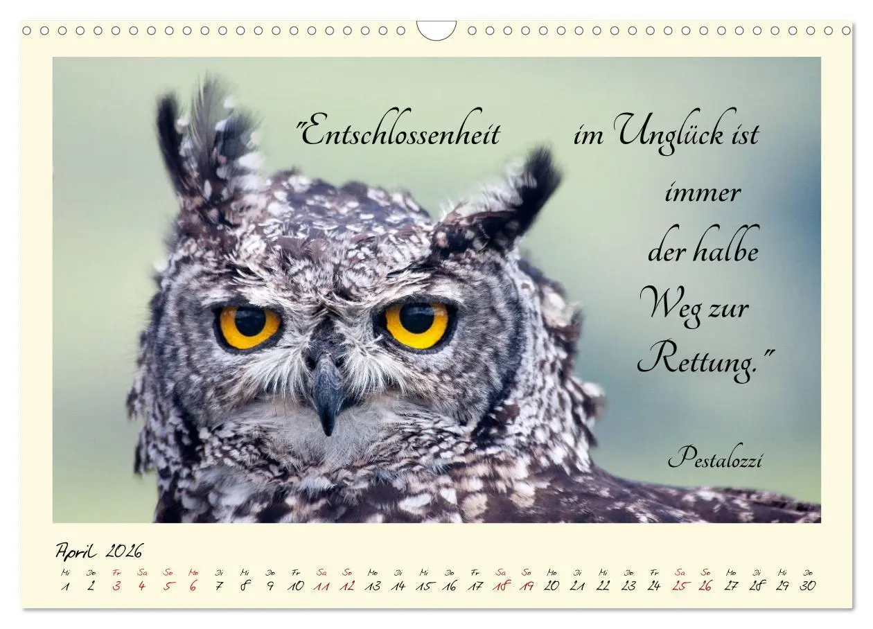 Bild: 9783457777343 | Glücksmomente Glücks-Zitate zu Fotos der großartigen...