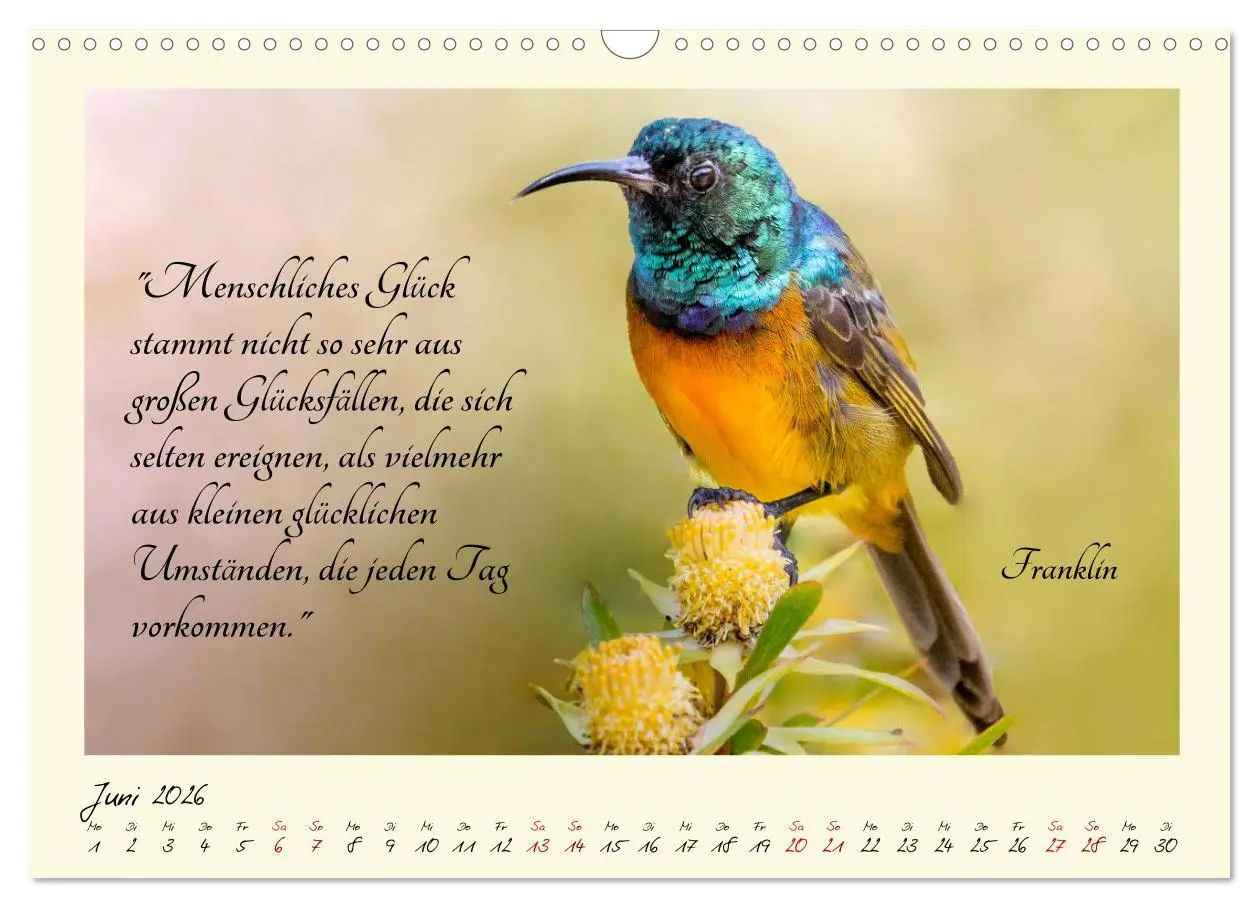 Bild: 9783457777343 | Glücksmomente Glücks-Zitate zu Fotos der großartigen...