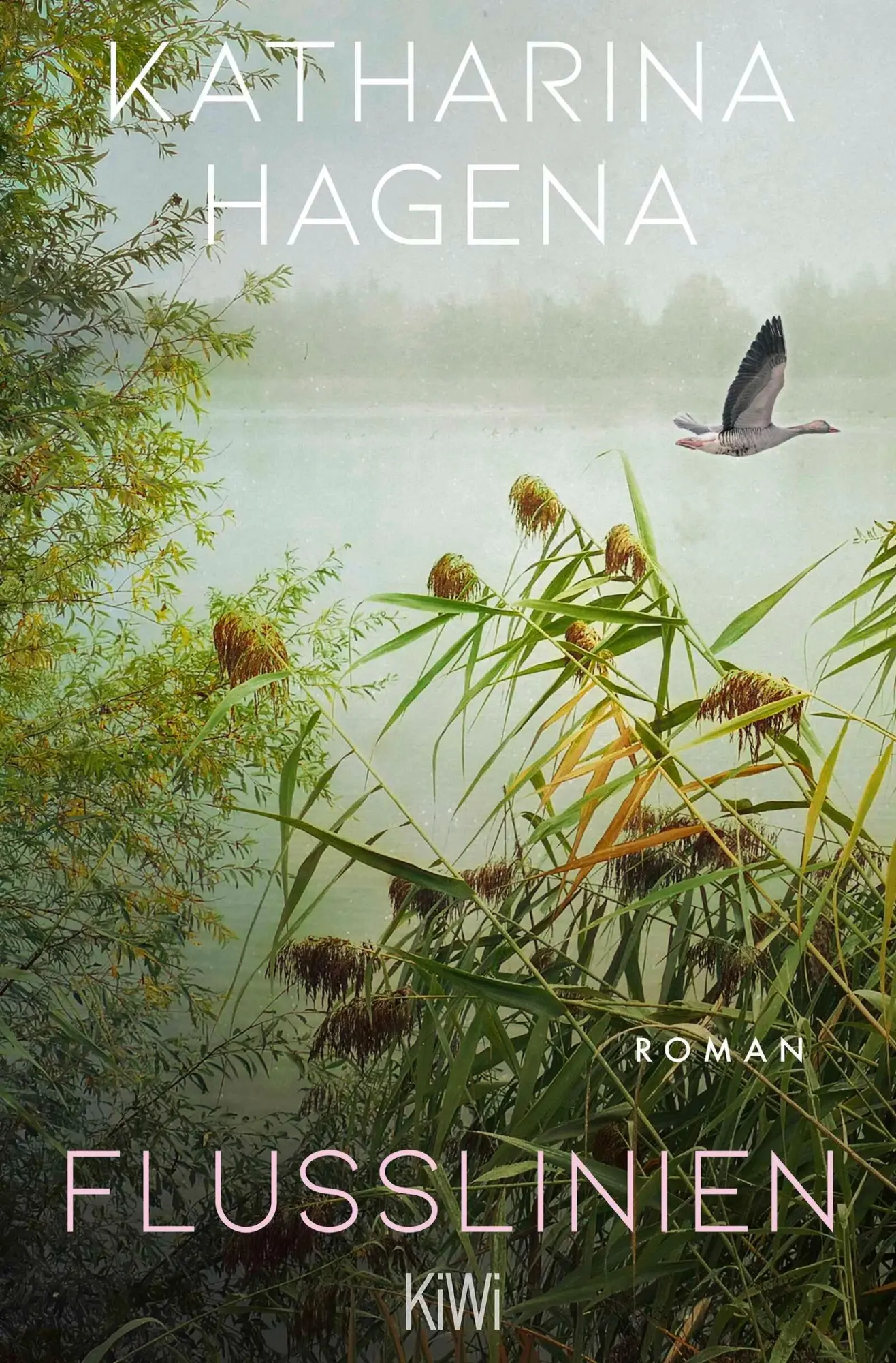 Cover: 9783462007343 | Flusslinien | Katharina Hagena | Taschenbuch | 400 S. | Deutsch | 2026