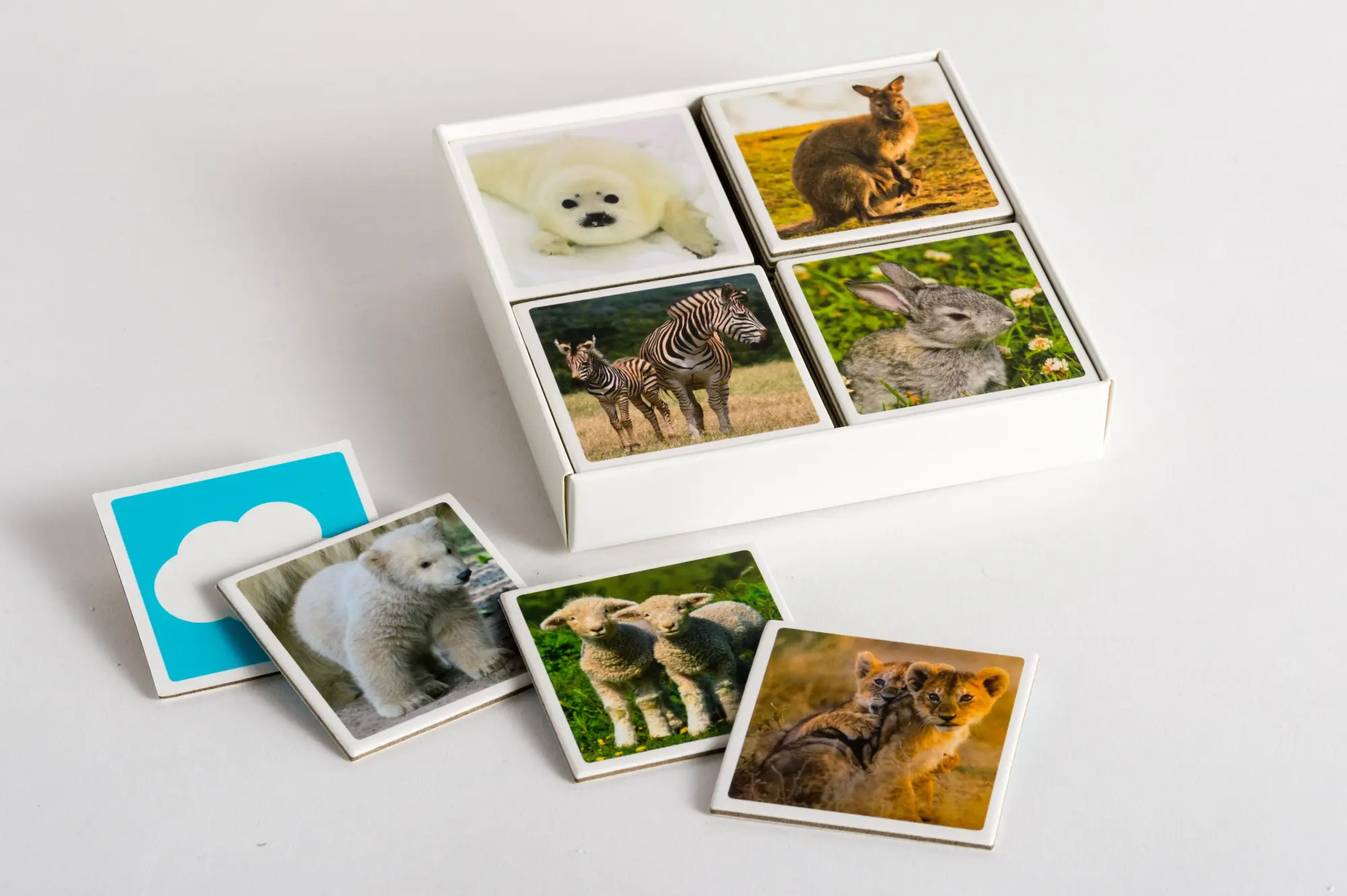 Bild: 9783730607343 | Tierkinder-Memo | 40 Spielkarten im Spielkarton | Spiel | 40 S. | 2019