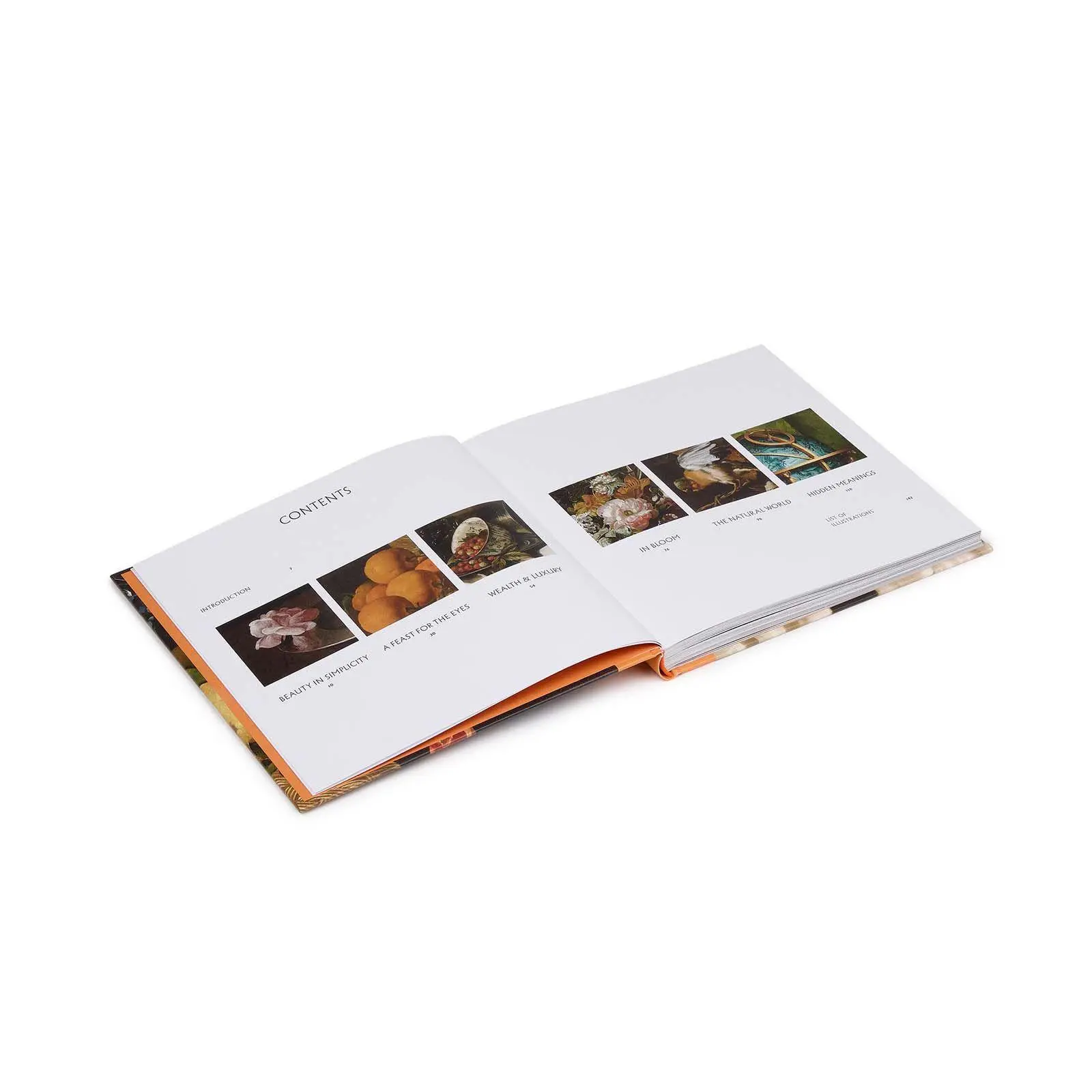 Bild: 9781857097443 | Still Life | Sian Walters | Buch | National Gallery Company Ltd | 2026