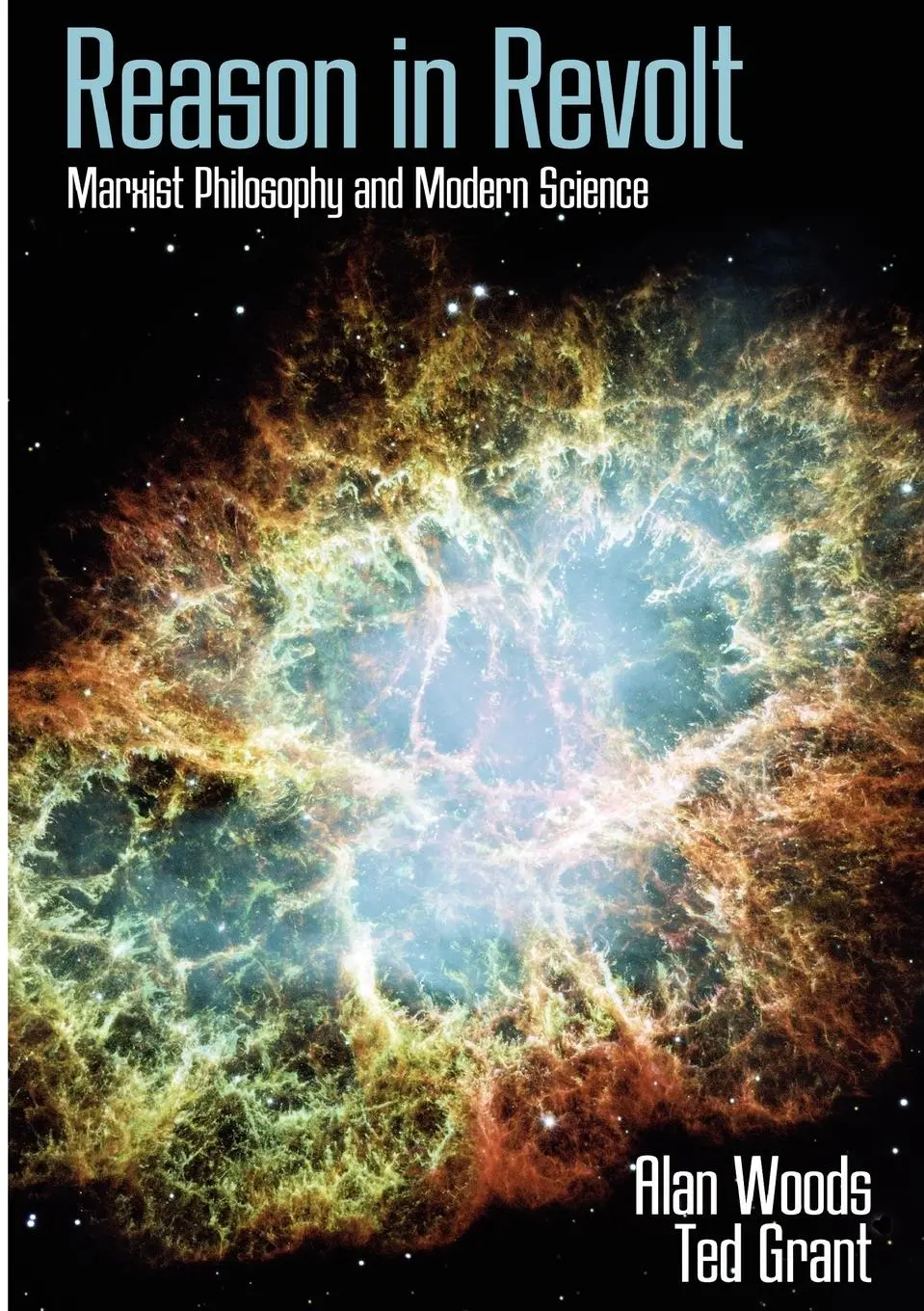 Cover: 9781900007443 | Reason in Revolt | Marxist Philosophy and Modern Science | Taschenbuch