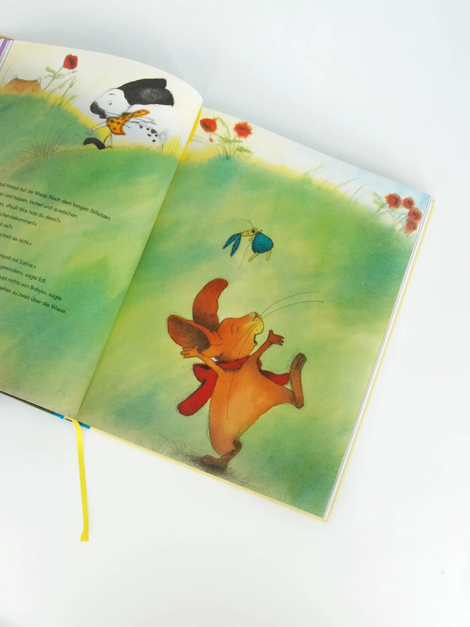 Bild: 9783314107443 | Die Lieblinge der BilderBuchBande | Brigitte Weninger (u. a.) | Buch
