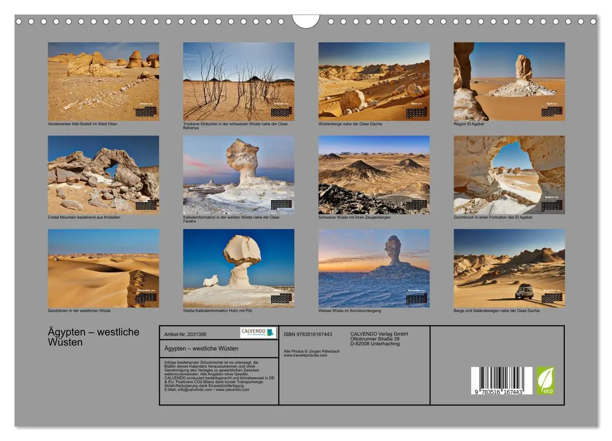 Bild: 9783516167443 | Ägypten - westliche Wüsten (Wandkalender 2026 DIN A3 quer),...