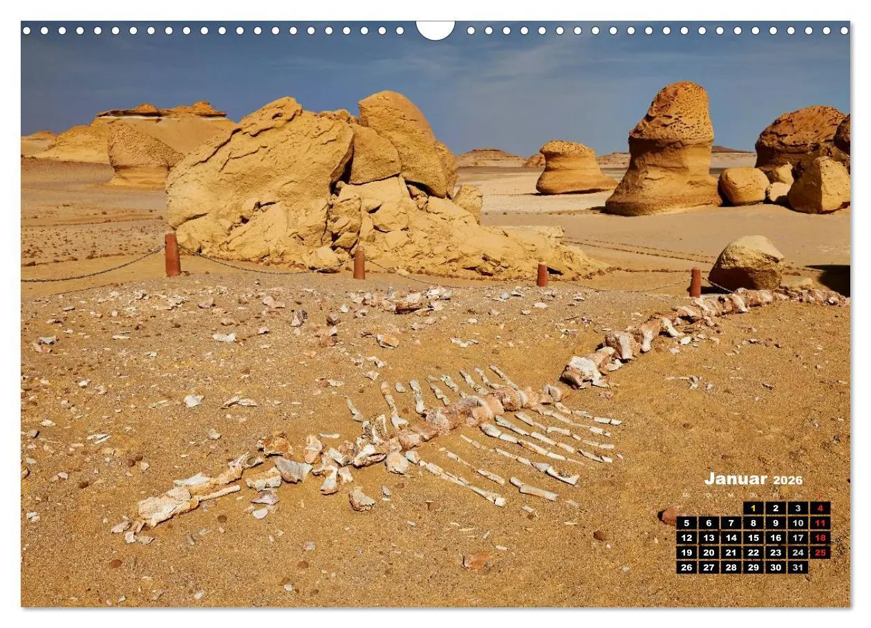 Bild: 9783516167443 | Ägypten - westliche Wüsten (Wandkalender 2026 DIN A3 quer),...
