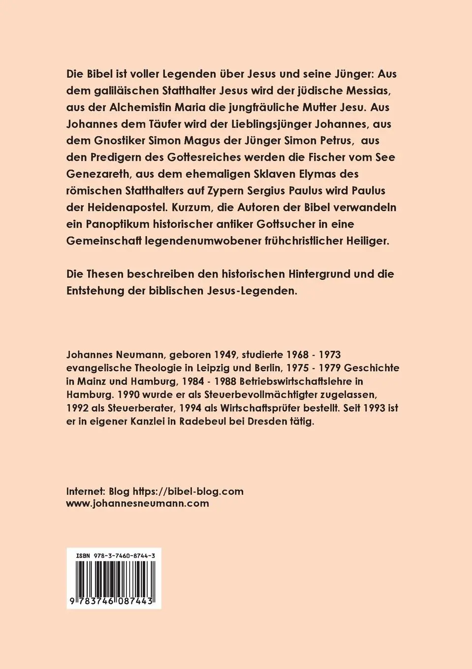 Rückseite: 9783746087443 | Das Jesus Puzzle | Fakten und Fiktion - 280 Thesen | Johannes Neumann