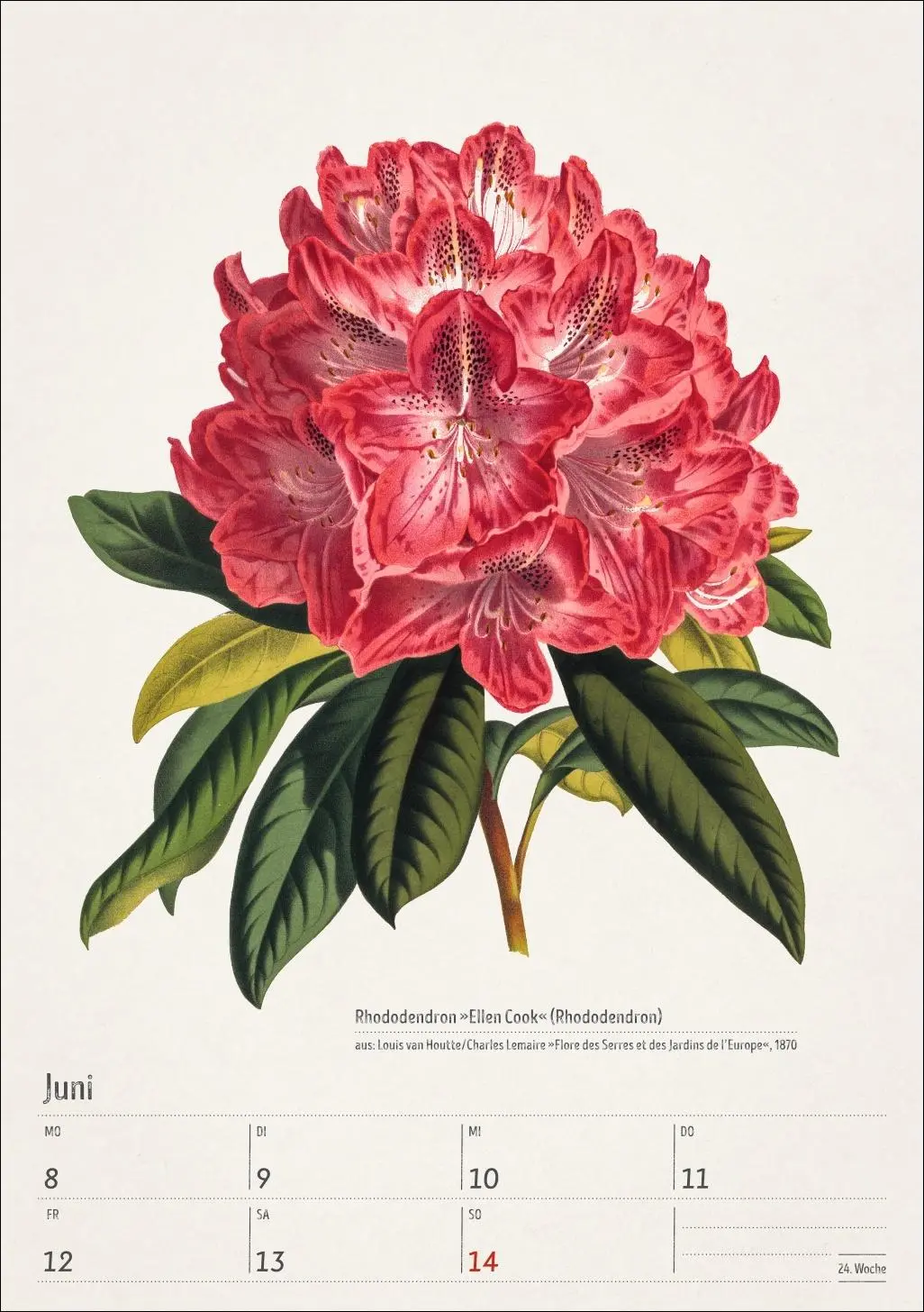 Bild: 9783840037443 | Bunte Pflanzenwelt Wochenplaner 2026 - 53 historische Illustrationen