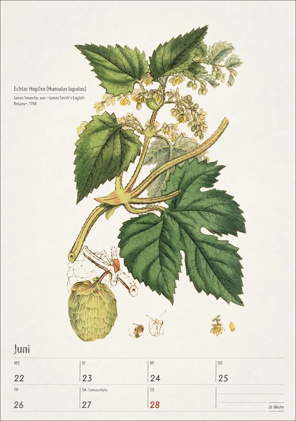 Bild: 9783840037443 | Bunte Pflanzenwelt Wochenplaner 2026 - 53 historische Illustrationen
