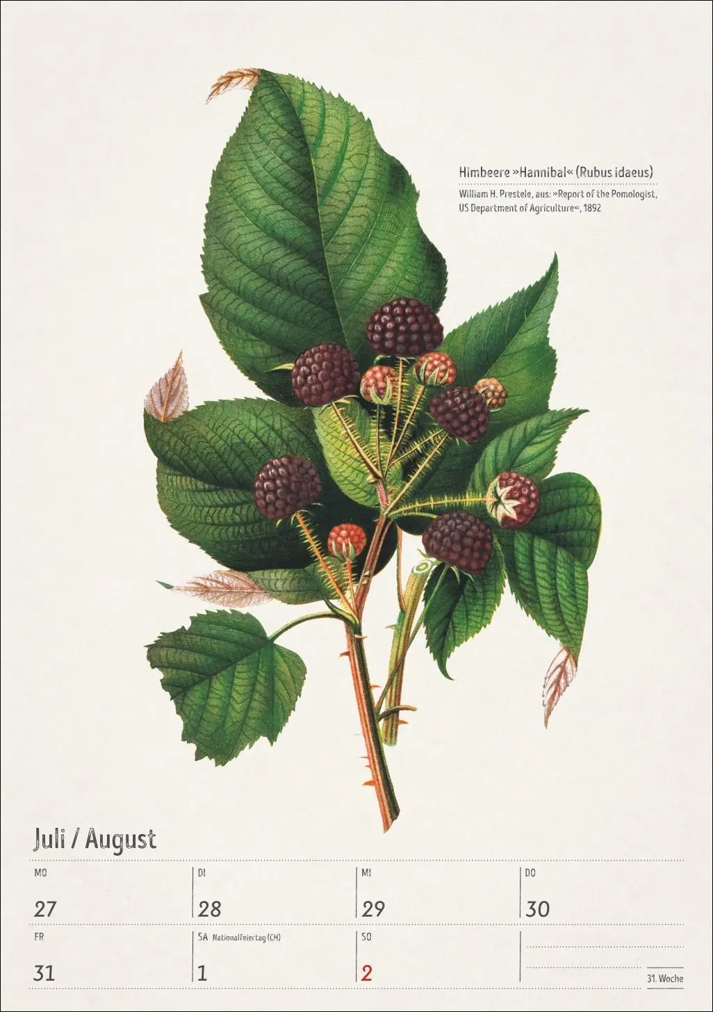 Bild: 9783840037443 | Bunte Pflanzenwelt Wochenplaner 2026 - 53 historische Illustrationen