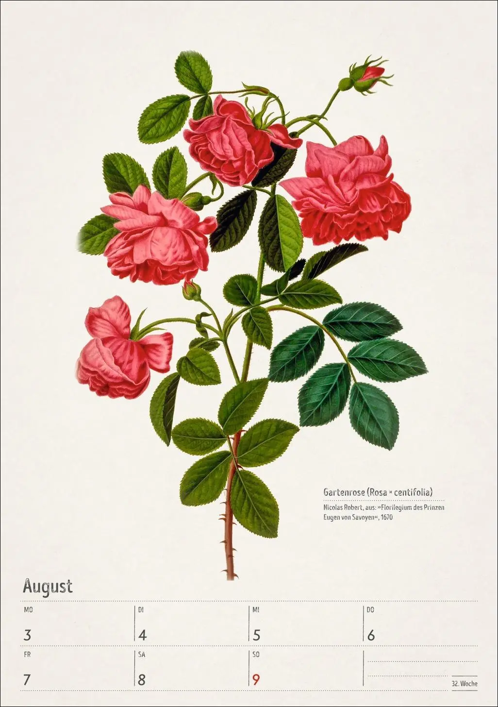 Bild: 9783840037443 | Bunte Pflanzenwelt Wochenplaner 2026 - 53 historische Illustrationen