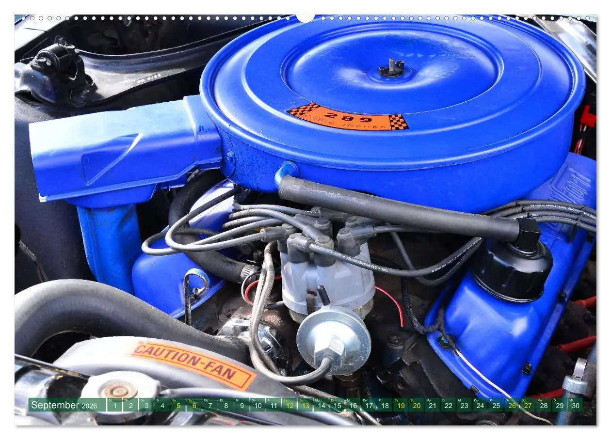 Bild: 9783457447543 | Ein Pony zum verlieben - Ford Mustang 1968 (hochwertiger Premium...
