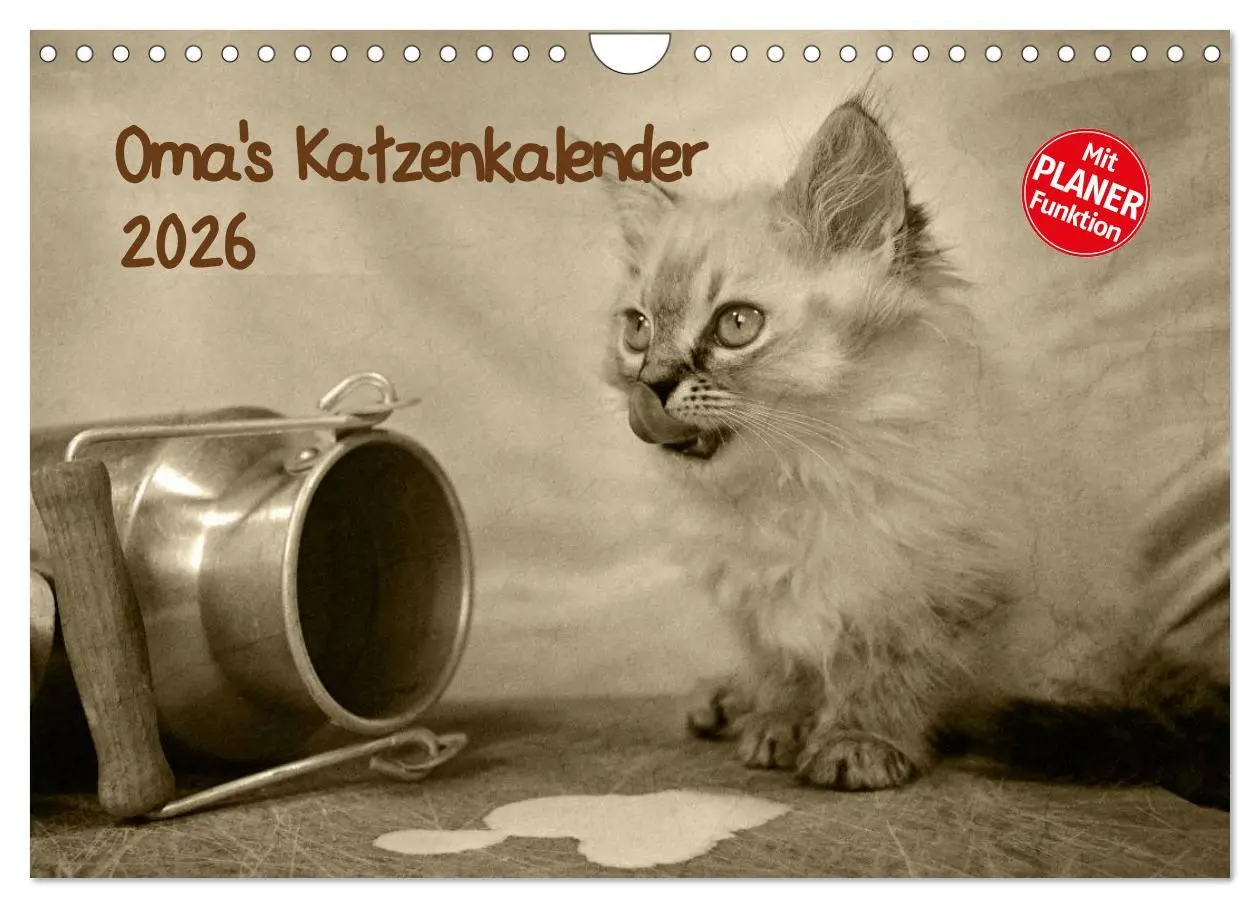 Cover: 9783457997543 | Oma's Katzenkalender 2026 (Wandkalender 2026 DIN A4 quer), CALVENDO...