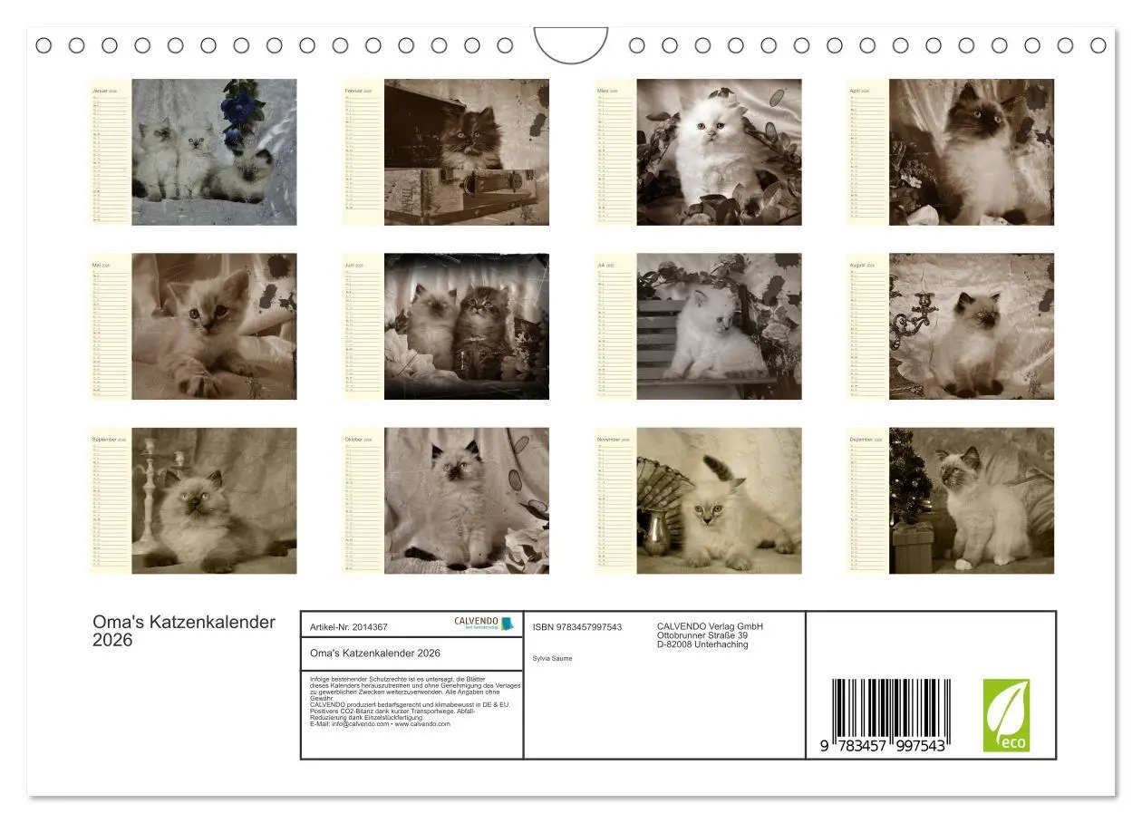 Bild: 9783457997543 | Oma's Katzenkalender 2026 (Wandkalender 2026 DIN A4 quer), CALVENDO...