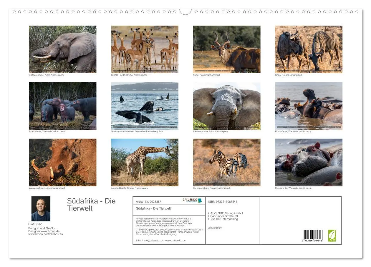 Bild: 9783516087543 | Südafrika - Die Tierwelt (Wandkalender 2026 DIN A2 quer), CALVENDO...