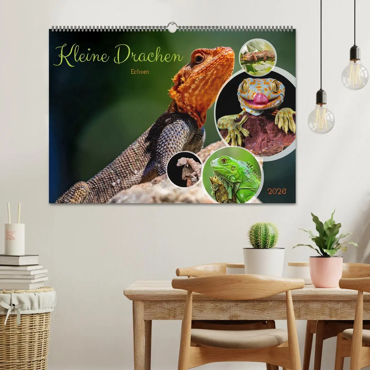 Bild: 9783457507643 | Kleine Drachen - Echsen (Wandkalender 2026 DIN A2 quer), CALVENDO...