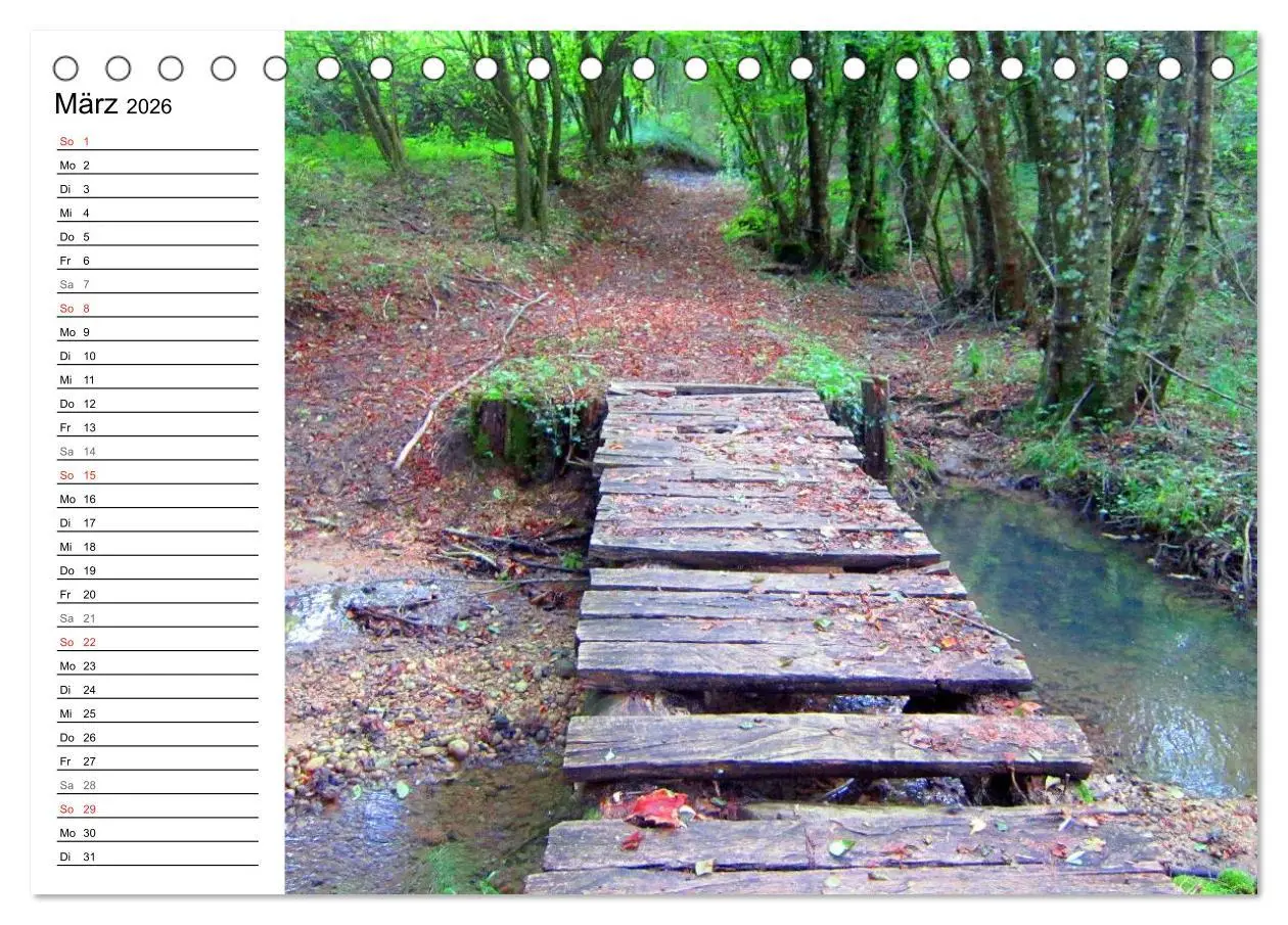 Bild: 9783457987643 | Franziskusweg - Camino di Assisi (Tischkalender 2026 DIN A5 quer),...