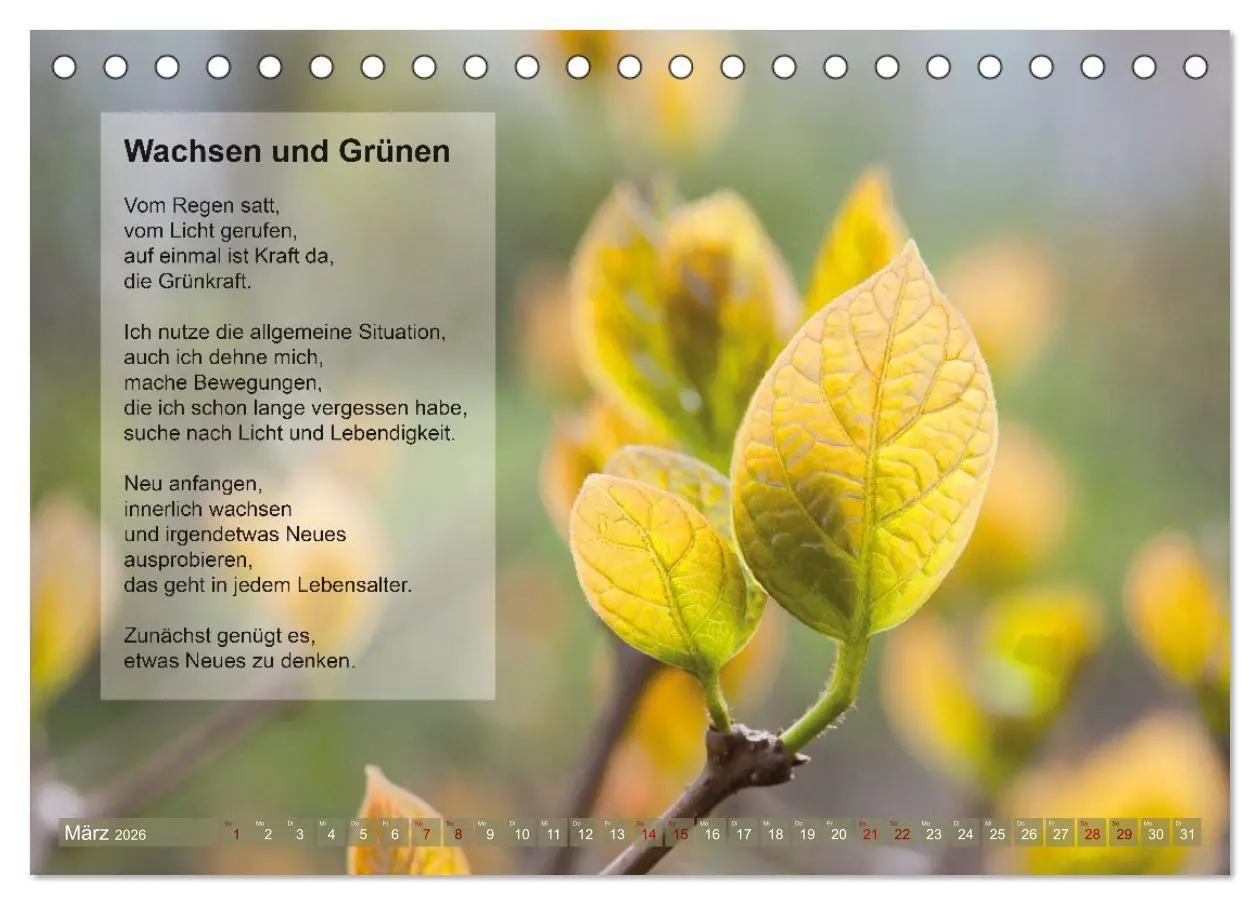 Bild: 9783516697643 | Im Rhythmus der Jahreszeiten und des Kirchenjahres (Tischkalender...