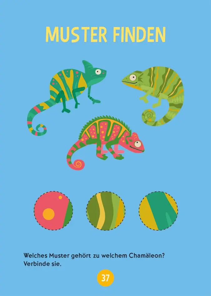 Bild: 9783788647643 | Der kleine Heine. Mini Rätsel to go. Ab 6 Jahren | Stefan Heine | Buch