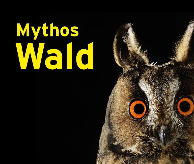 Cover: 9783837527643 | Mythos Wald | Jeanette Schmitz (u. a.) | Buch | 176 S. | Deutsch
