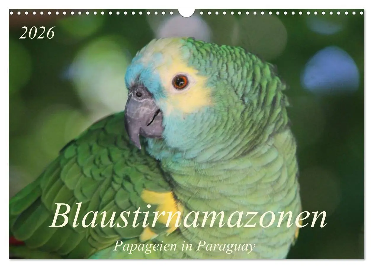 Cover: 9783516137743 | Blaustirnamazonen - Papageien in Paraguay (Wandkalender 2026 DIN A3...
