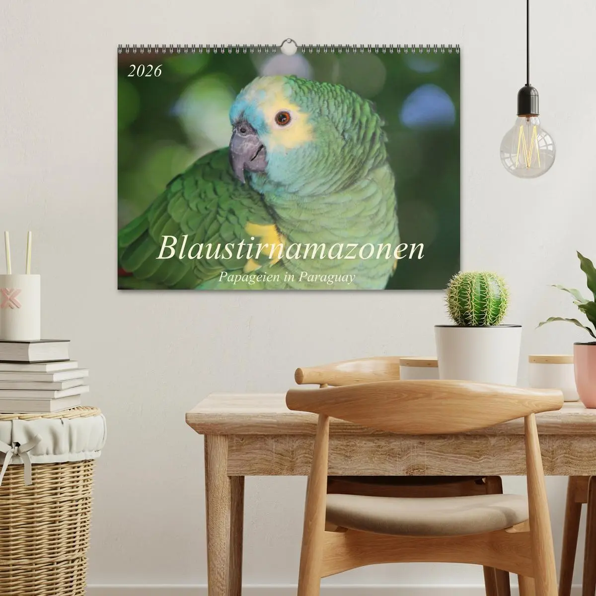 Bild: 9783516137743 | Blaustirnamazonen - Papageien in Paraguay (Wandkalender 2026 DIN A3...