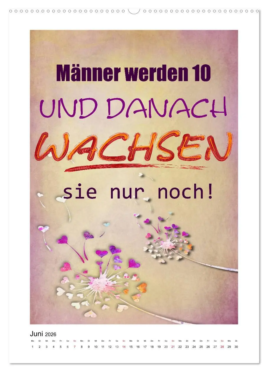 Bild: 9783516377743 | Humor und Ironie. Lustige Sprüche (hochwertiger Premium...