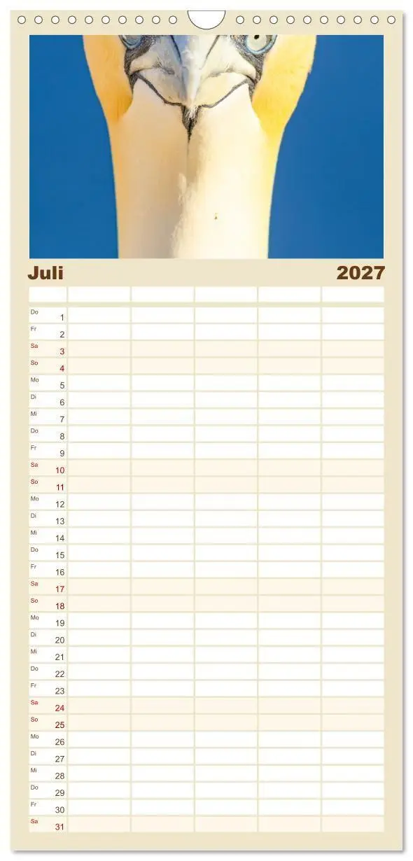 Bild: 9783594287743 | Familienplaner 2027 - Basstölpel - Helgolands faszinierende Vögel...