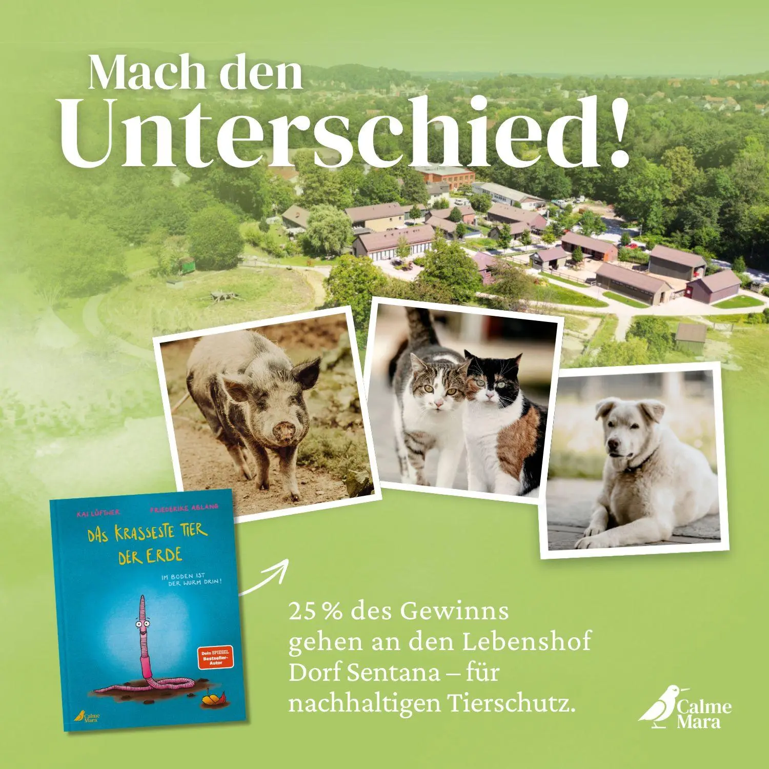 Bild: 9783948877743 | Das krasseste Tier der Erde | Kai Lüftner | Buch | 32 S. | Deutsch